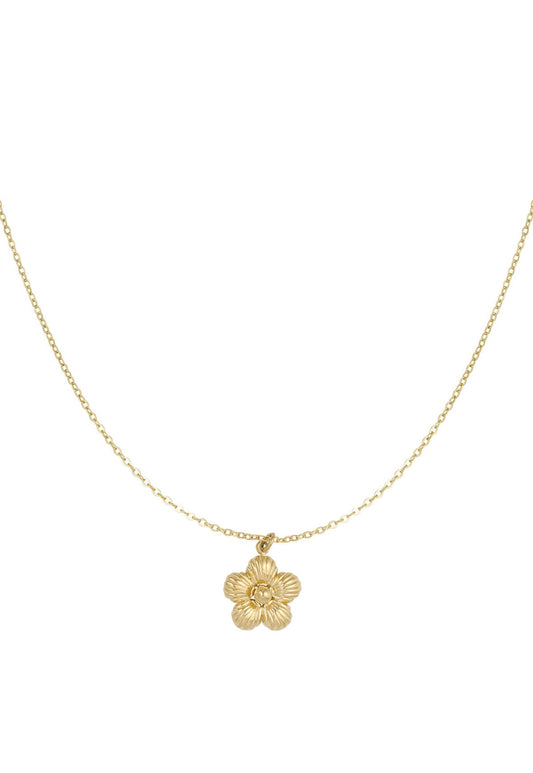 Daisy ketting goud
